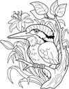 Cute kingfisher bird, coloring book, funny illustration Royalty Free Stock Photo