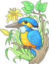 Cute kingfisher bird, funny design illustration