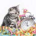 Cute kitten with alarm clock and streamers