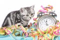 Cute kitten with alarm clock and streamers