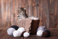 Cute Kitten With Balls of Yarn Royalty Free Stock Photo