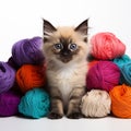 Cute kitten among with balls of yarn on a white background Royalty Free Stock Photo