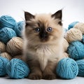 Cute kitten among with balls of yarn on a white background Royalty Free Stock Photo