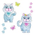 Cute kitten boy in bow tie and kitten girl with flowers. Card clipart is decorated with butterflies and traces of the paws of cat Royalty Free Stock Photo