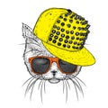 Cute kitten in a cap with spikes and glasses. Vector illustration for a postcard or a poster. Funny cat. Royalty Free Stock Photo