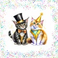 Cute kitten couple celebrate New Years Eve in dressy costumes.