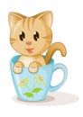 Cute kitten in cup coffee cartoon