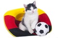 Cute kitten with german soccer fan stuff