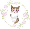 Cute kitten with glasses and a floral frame