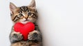 Cute kitten holding heart shaped with copy space for text, white background Royalty Free Stock Photo