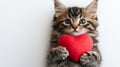Cute kitten holding heart shaped with copy space for text, white background Royalty Free Stock Photo
