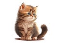 Cute Kitten Isolated On White, Vector Illustration Generated By AI