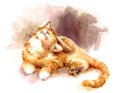 Cute Kitten Laying Down Scratching his head Watercolor Pet Tabby Cat Portrait Illustration Hand Painted