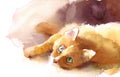 Cute Kitten Laying Down Watercolor Pet Tabby Cat Portrait Illustration Hand Painted