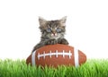 Kitten on green grass peaking over tiny football, isolated