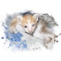 Cute kitten. Royalty Free Stock Photo