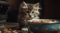 Cute Kitten Looking Across a Bowl of Food, Generated AI