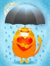 Cute kitten in love with umbrella, rain and rainbow.