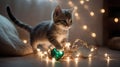 Adorable Kitten Playing with Fairy Lights and Heart Royalty Free Stock Photo