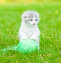 Cute kitten playing with clew of thread on green grass