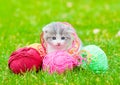 Cute kitten playing with clews of thread on green grass Royalty Free Stock Photo