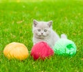 Cute kitten playing with clews of thread on green grass