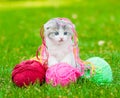 Cute kitten playing with clews of thread on green grass Royalty Free Stock Photo