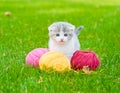 Cute kitten playing with clews of thread on green grass Royalty Free Stock Photo