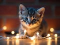 Cute Kitten Portrait with Christmas String Lights and Festive Atmosphere Royalty Free Stock Photo