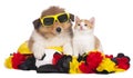 Cute kitten and puppy with german soccer fan stuff Royalty Free Stock Photo