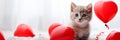 Cute kitten with a red balloons and a gift box. Birthday greeting card. Promotional banner for animal shelter, pet shop Royalty Free Stock Photo