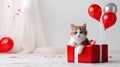 Cute kitten with a red balloons and a gift box. Birthday greeting card. Promotional banner for animal shelter, pet shop Royalty Free Stock Photo