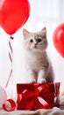Cute kitten with a red balloons and a gift box. Birthday greeting card. Promotional banner for animal shelter, pet shop Royalty Free Stock Photo