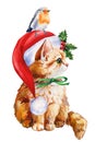 Cute kitten in red Santa hat and robin bird on isolated white background, holiday watercolor illustration