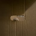 Cute kitten`s paw in a cardboard box hole Royalty Free Stock Photo