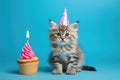 A cute kitten is seated beside a delightful cupcake adorned with a single flickering candle, Cute kitten photographed with a