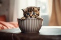 Cute kitten sits in a beige cup on a beige background. Generative AI Royalty Free Stock Photo