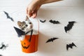 Cute kitten sitting in halloween trick or treat bucket on white background with black bats. Hand holding jack o` lantern pumpkin Royalty Free Stock Photo