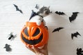 Cute kitten sitting in halloween trick or treat bucket on white background with black bats. Hand holding jack o` lantern pumpkin Royalty Free Stock Photo