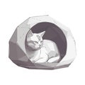 Cute kitten sitting, icon isolated