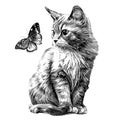 Cute kitten sitting and looking at the flying butterfly hand drawn sketch engraving style Royalty Free Stock Photo