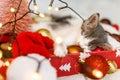 Cute kitten sleeping on cozy santa hat with red and gold ornaments with warm festive lights