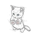 Cute kitten. Vector illustration for a postcard or a poster. Beautiful cat. Fashion & Style.