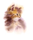 Cute Kitten Watercolor Pet Cat Portrait Illustration Hand Painted Royalty Free Stock Photo