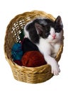 Cute Kitten In Wicker Basket, White Background Royalty Free Stock Photo