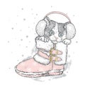 Cute kitten in winter boots. Royalty Free Stock Photo