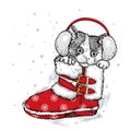 Cute kitten in winter boots. Royalty Free Stock Photo