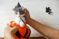 Cute kitten in witch hat sitting in halloween trick or treat bucket on white background with black ghost. Adorable kitty looking Royalty Free Stock Photo