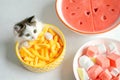 Cute kitten in yellow bowl with fruit snacks, watermelon slices and marshmallows Royalty Free Stock Photo