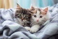 Cute kittens on fluffy plaid home bedroom. Generate Ai